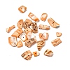 Natural Shell Bead Strands BSHE-P010-06-2