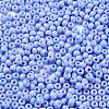 Baking Paint Glass Seed Beads SEED-H002-I-A530-3
