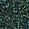 TOHO 6/0 Round Beads SEED-XTR06-0270-2