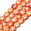 Dyed Natural Freshwater Shell Beads Strands SHEL-A006-03D-1