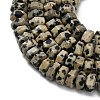 Natural Dalmatian Jasper Beads Strands G-G317-A16-3x6mm-4