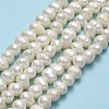 Natural Cultured Freshwater Pearl Beads Strands PEAR-F018-17D-01-2