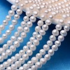 Potato Natural Cultured Freshwater Pearl Beads Strands PEAR-E007-5-6mm-A-1