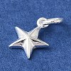925 Sterling Silver Charms STER-M120-01B-S-2