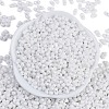 Baking Paint Glass Seed Beads X1-SEED-K010-A03-3