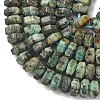 Natural African Turquoise(Jasper) Beads Strands G-L654-I04-01-4