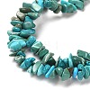 Natural Turquoise Chip Beads Strands X-G-D093-A01-4