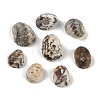 Natural Shell Beads SHEL-K009-17A-1