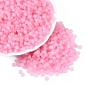 FGB Frosted Transparent Glass Seed Beads SEED-N013-02A-05-1