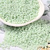 Baking Paint Glass Seed Beads SEED-P006-03A-33-1