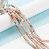 Natural Crazy Lace Agate Beads Strands G-F247-33-2