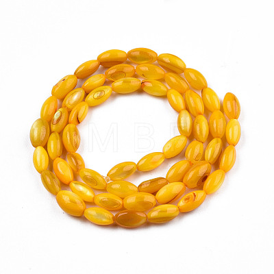 Natural Freshwater Shell Beads Strands SHEL-N026-212-B05-1