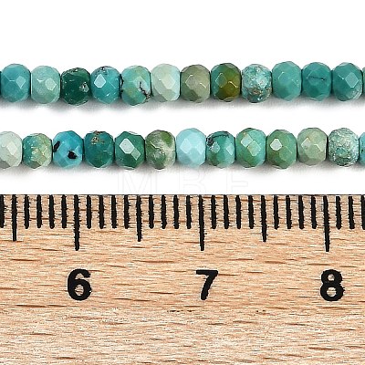 Natural Turquoise Dyed Beads Strands G-H070-A02-01-1