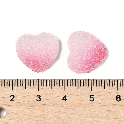 Imitation Candy Food Style Resin Cabochons RESI-R461-01N-1