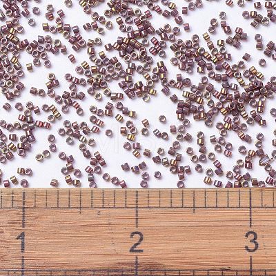 MIYUKI Delica Beads Small SEED-JP0008-DBS1013-1