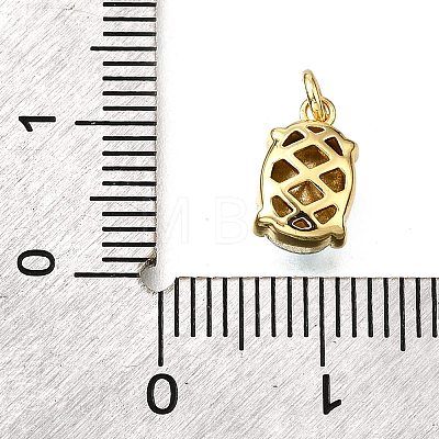 Brass Glass Charms KK-V011-33G-1