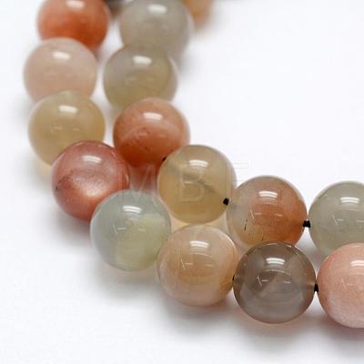 Natural Multi-Moonstone Beads Strands G-P322-43-10mm-1