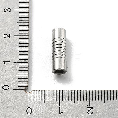 304 Stainless Steel Magnetic Clasps STAS-B082-02A-P-1