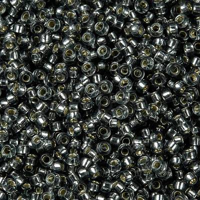 MIYUKI Round Rocailles Beads X-SEED-G009-RR0021-1