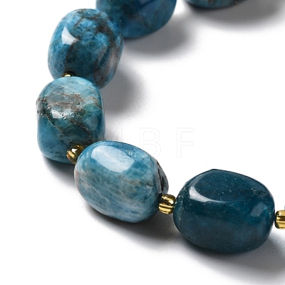 Natural Apatite Beads Strands G-B028-B09-1