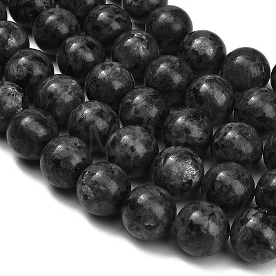 Natural Larvikite Beads Strands GSR20mmC128-1