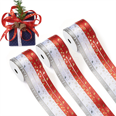3 Rolls 10M  5 Colors Hot Stamping Christmas Polyester Ribbons Set OCOR-TA0002-13-1