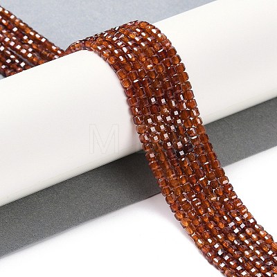 Natural Garnet Beads Strands X-G-P457-B01-18A-1