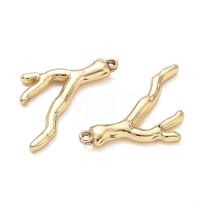 304 Stainless Steel Pendants SA-CBA3037-14G-1