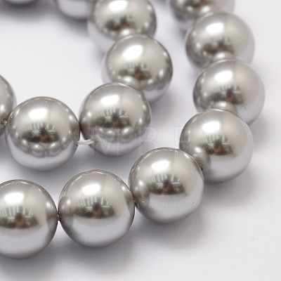 Shell Pearl Beads Strands X-BSHE-L026-05-10mm-1