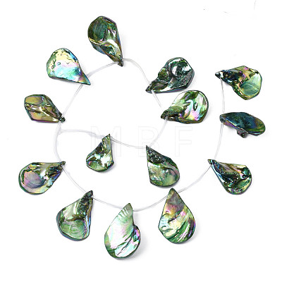Electroplated Natural Freshwater Shell Beads SHEL-N026-196-1