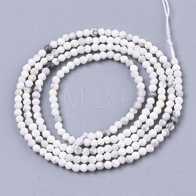 Natural Howlite Beads Strands G-R462-007-1