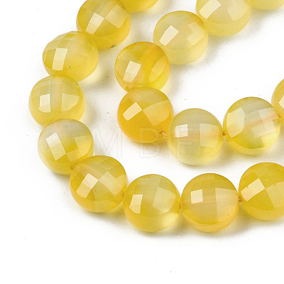 Natural Agate Beads Strands X-G-N326-100A-13-1