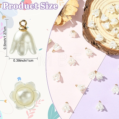 30Pcs Opaque Resin Imitation Pearl Charms FIND-YW0009-02-1