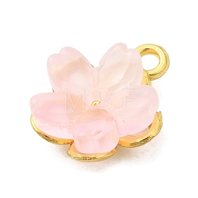 Alloy Glass Charms FIND-C079-05G-01-1