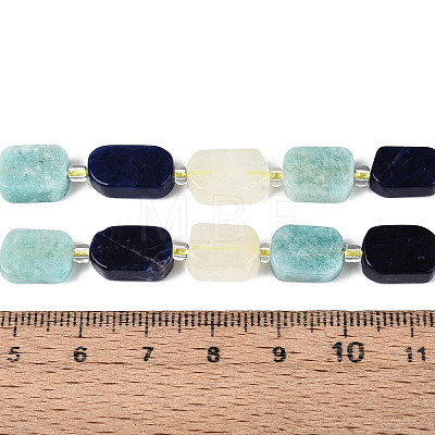 Natural Sodalite & Flower Amazonite & Lemon Quartz Beads Strands G-N358-02A-07-1