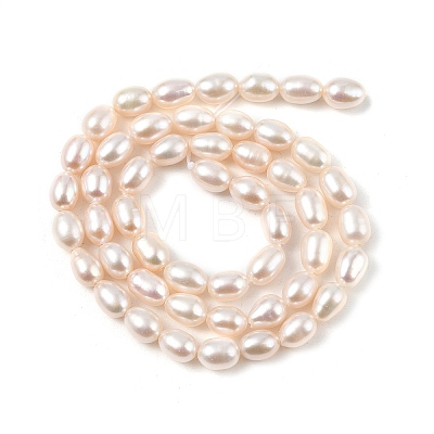 Natural Cultured Freshwater Pearl Beads Strands PEAR-I007-01A-03A-1