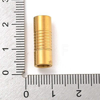 Ion Plating(IP) 304 Stainless Steel Magnetic Clasps with Glue-in Ends STAS-F149-04G-A-1