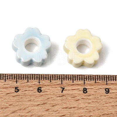 Handmade Porcelain European Beads PR-CBA64B6-06-1