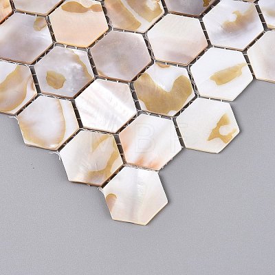 Natural Freshwater Shell Mosaic Tile Cabochons SHEL-Q029-04-1