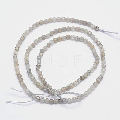 Faceted Round Natural Labradorite Bead Strands G-I156-03-3mm-1