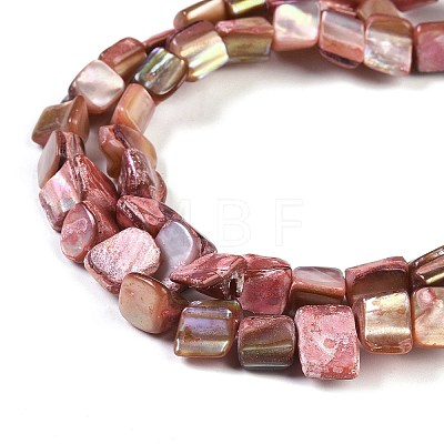 Dyed Natural Freshwater Shell Beads Strands SHEL-P016-01G-1