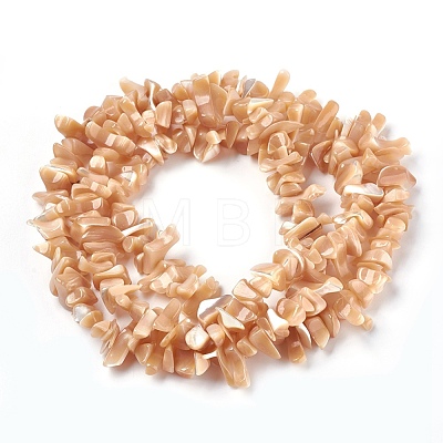 Freshwater Shell Beads Strands BSHE-O017-11-1