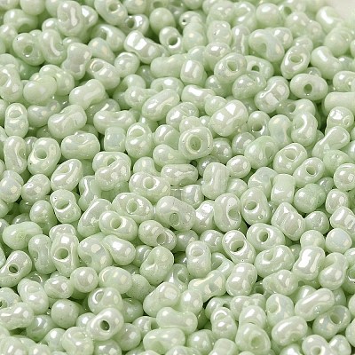 Glass Seed Beads SEED-K009-02A-09-1