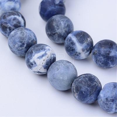 Natural Sodalite Beads Strands G-Q462-10mm-07-1