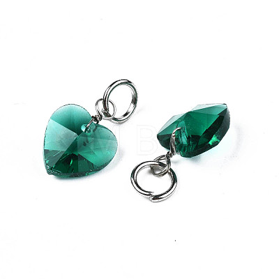 Faceted Transparent Glass Charms GLAA-T024-04F-1
