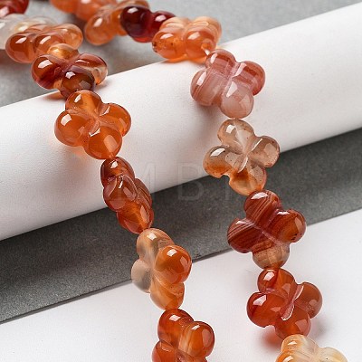Natural Red Agate Beads Strands G-P520-A06-01-1