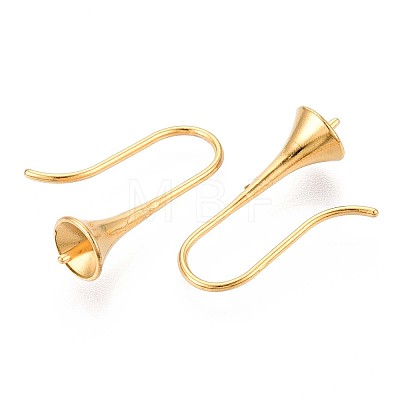 Ion Plating(IP) 304 Stainless Steel Earring Hooks X-STAS-N108-30G-1