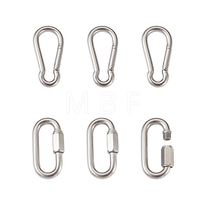 6Pcs 2 Style 304 Stainless Steel Rock Climbing Carabiners STAS-TA0001-33P-1