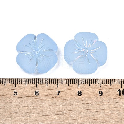 Frosted Transparent Acrylic Beads OACR-P029-19B-01-1