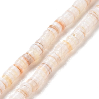 Freshwater Shell Beads Strands SHEL-G011-09-A02-1